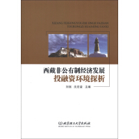 西藏非公有制经济发展投融资环境探析