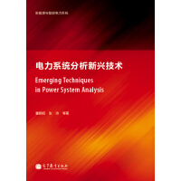 电力系统分析新兴技术 : 电力系统分析新兴技术