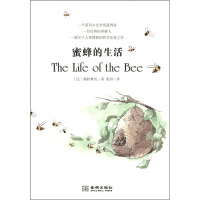 蜜蜂的生活